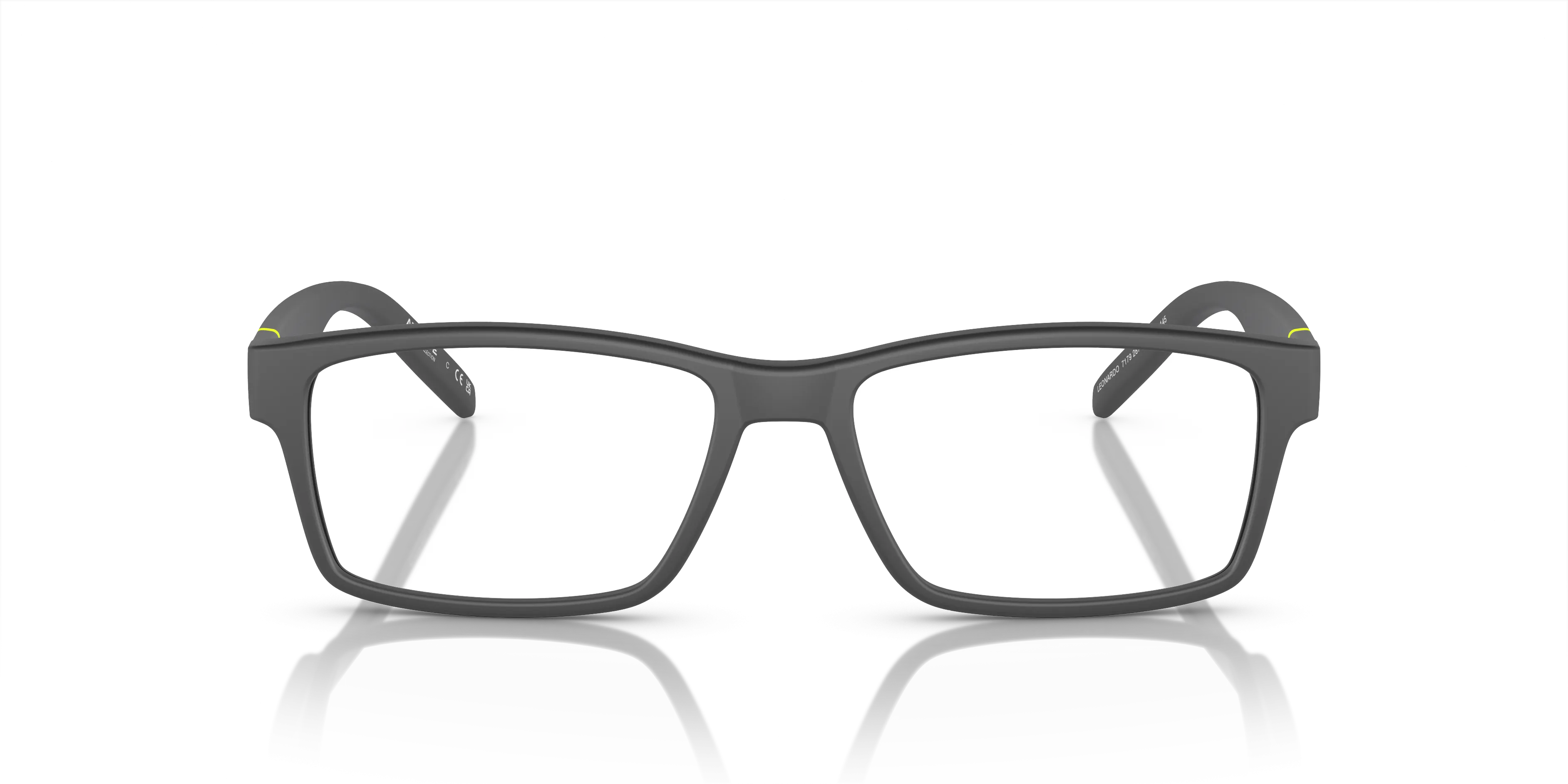 Arnette Leonardo AN7179 2870