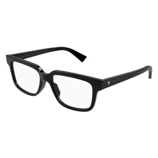 Bottega Veneta BV1256O 005