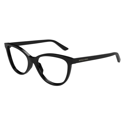 Bottega Veneta BV1313O 006