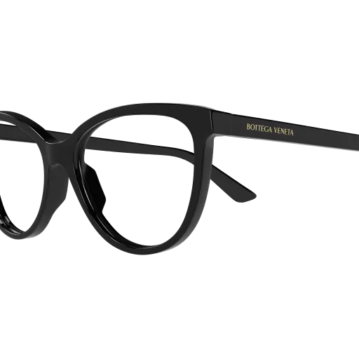 Bottega Veneta BV1313O 006