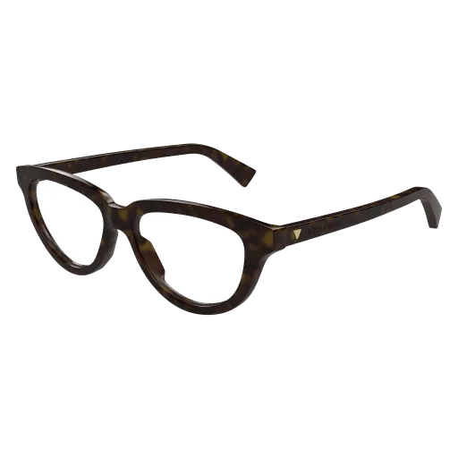 Bottega Veneta BV1366O 002