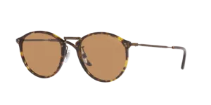 Giorgio Armani AR 318SM 502653
