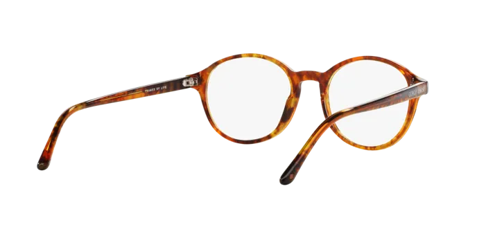 Giorgio Armani AR7004 5191