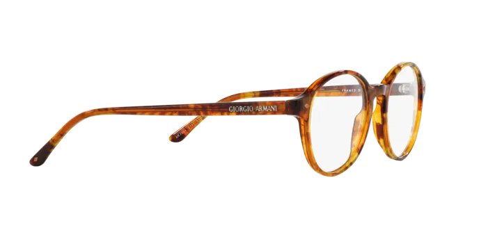 Giorgio Armani AR7004 5191