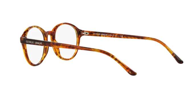 Giorgio Armani AR7004 5191