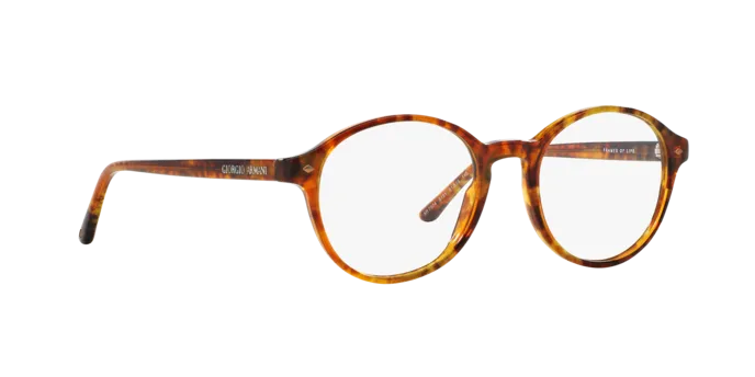 Giorgio Armani AR7004 5191