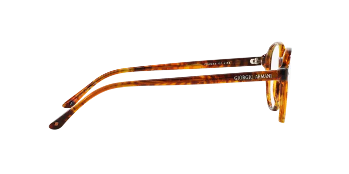 Giorgio Armani AR7004 5191