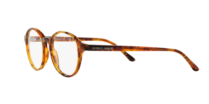 Giorgio Armani AR7004 5191
