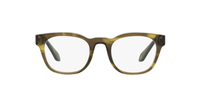 Giorgio Armani AR7242 5987