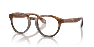 Giorgio Armani AR7248 5988