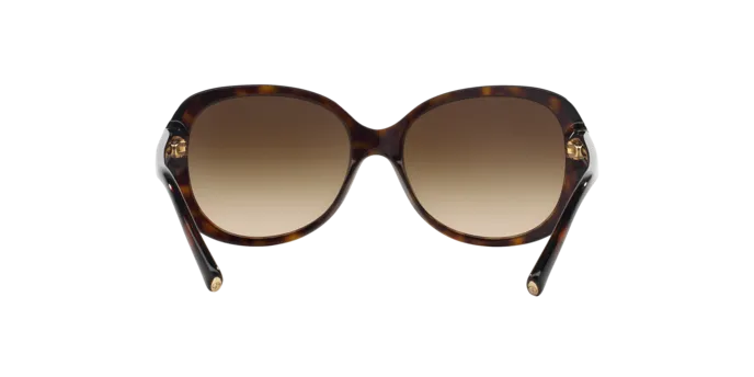 Giorgio Armani AR8047 502613