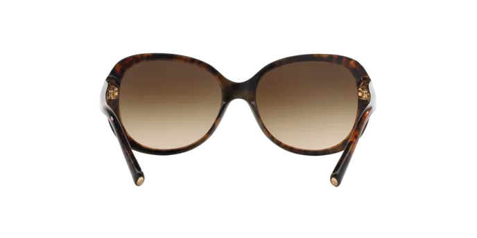 Giorgio Armani AR8047 504913