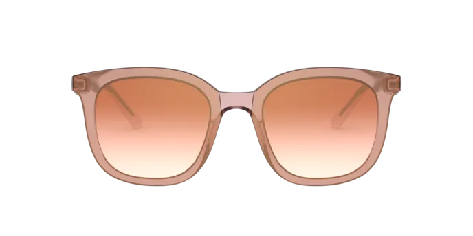 Giorgio Armani AR8136 58216F