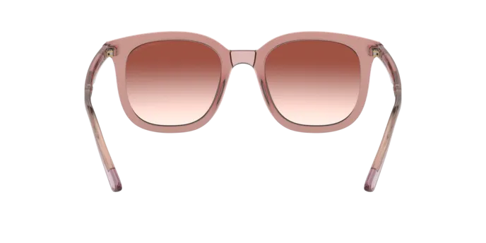 Giorgio Armani AR8136 58216F