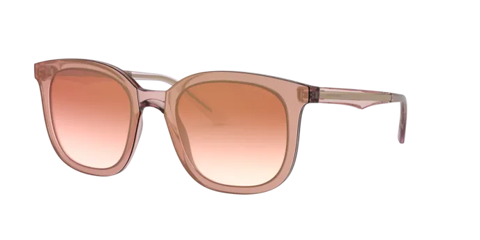 Giorgio Armani AR8136 58216F