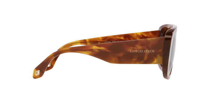 Giorgio Armani AR8183 598833