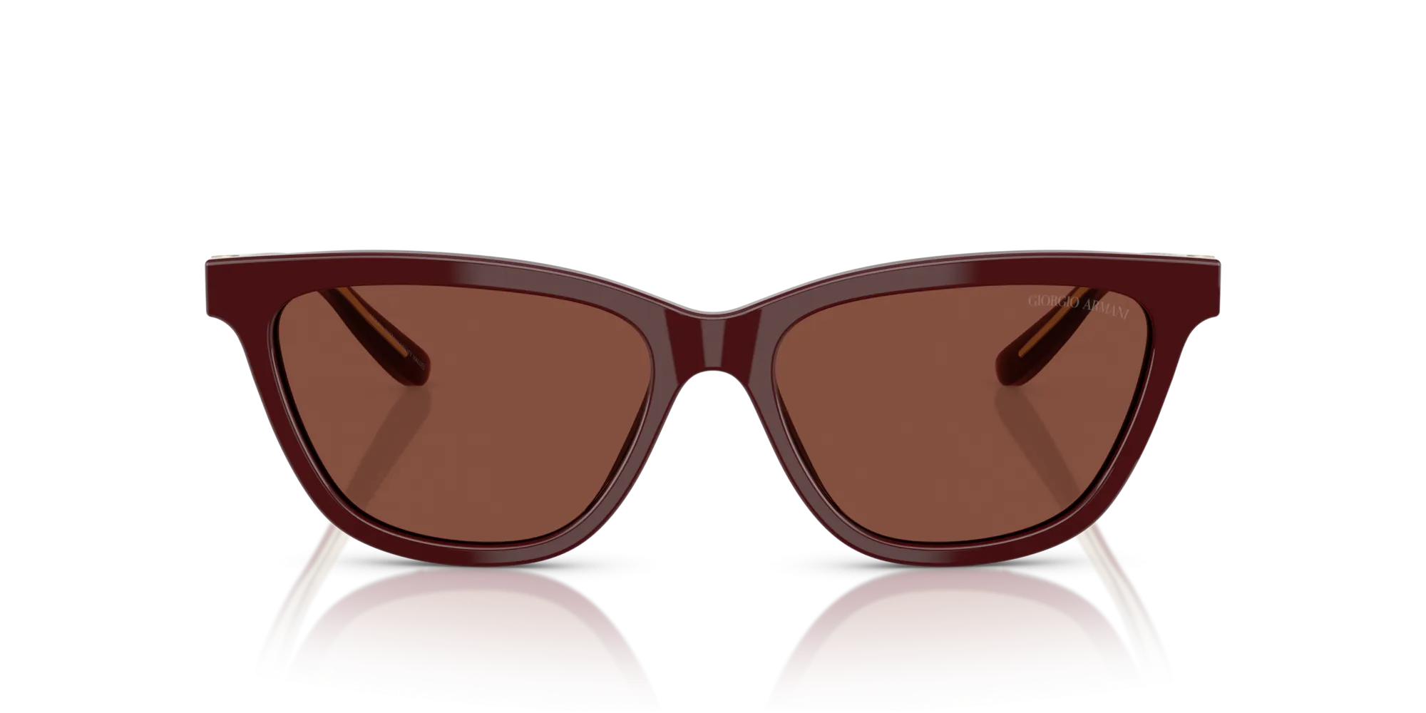 Giorgio Armani AR8221 5955C5