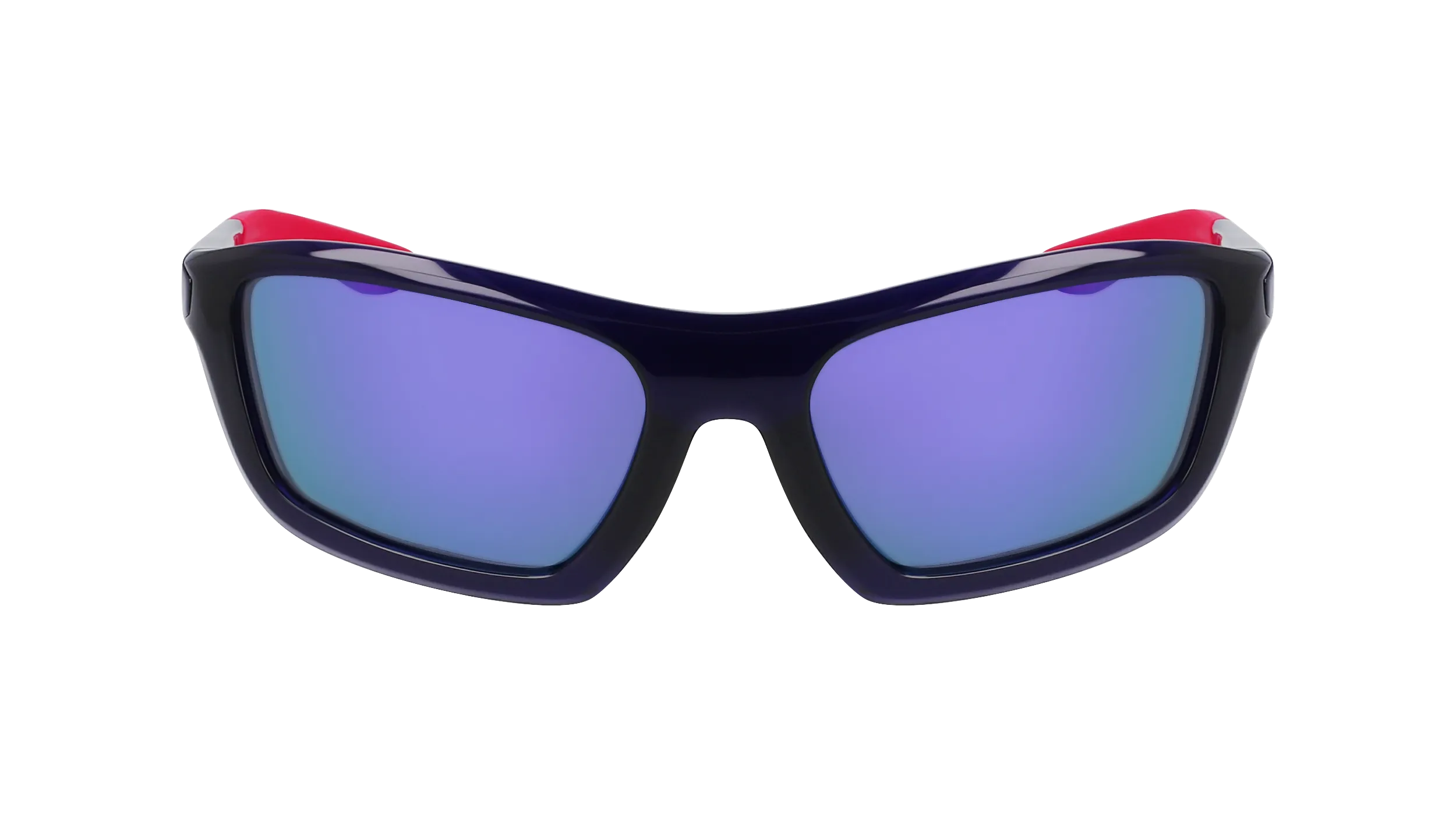Nike Brazer M FV2401 500