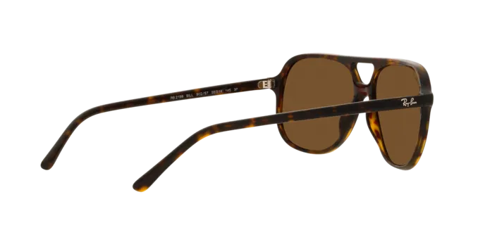 Ray-Ban Bill RB2198 902/57