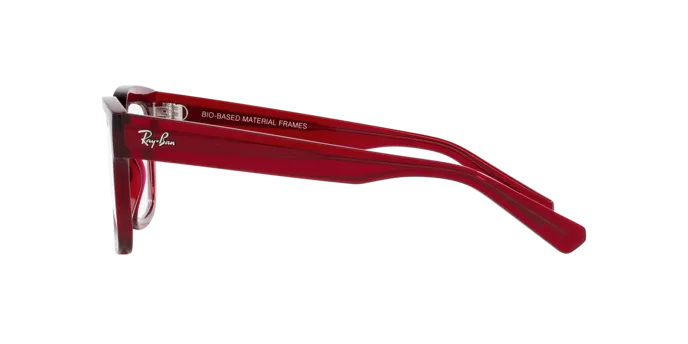 Ray-Ban Chad RX7217 8265