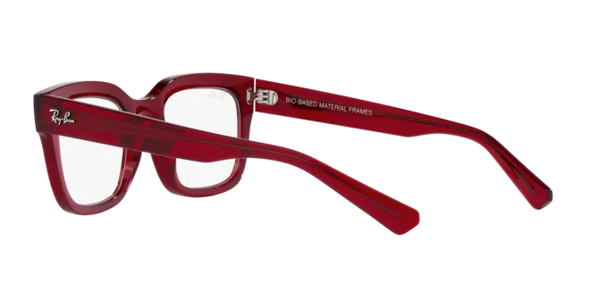 Ray-Ban Chad RX7217 8265
