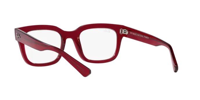 Ray-Ban Chad RX7217 8265