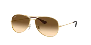 Ray-Ban Cockpit RB3362 001/51