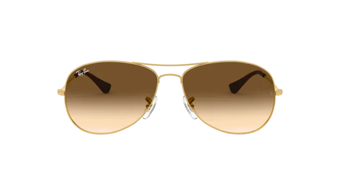 Ray-Ban Cockpit RB3362 001/51