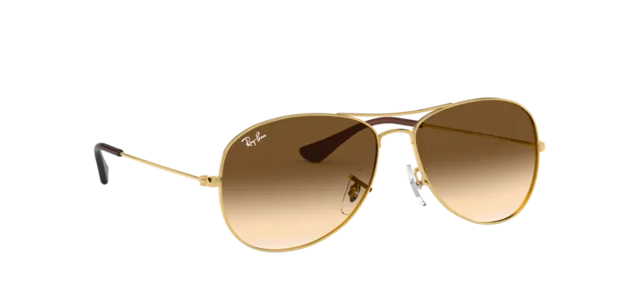 Ray-Ban Cockpit RB3362 001/51