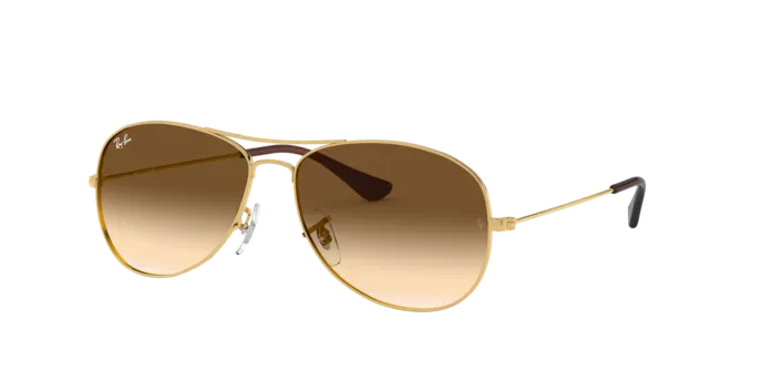Ray-Ban Cockpit RB3362 001/51