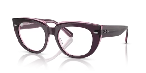 Ray-Ban Doreen RX5586 8364