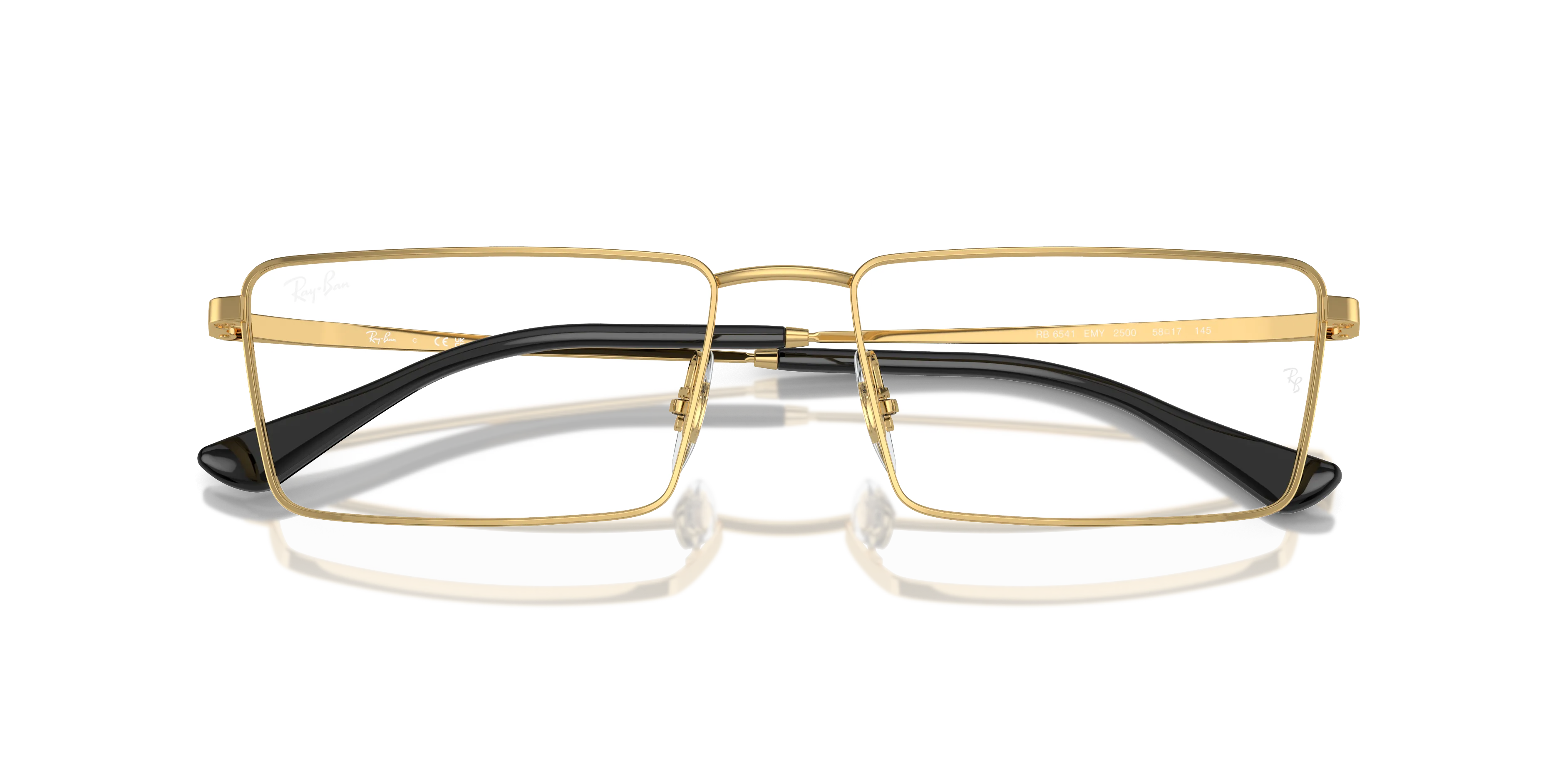 Ray-Ban Emy RX6541 2500