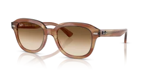 Ray-Ban Erik RB4398 140351