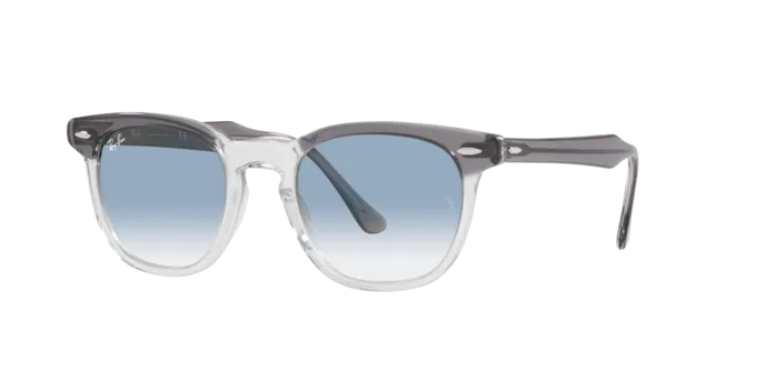 Ray-Ban Hawkeye RB2298 13553F