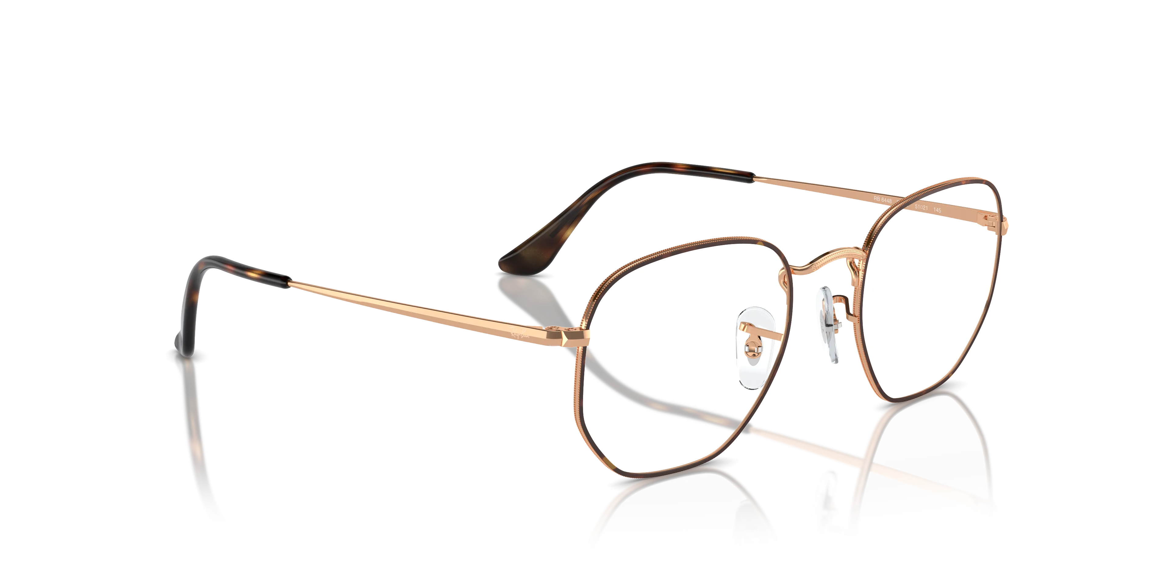 Ray-Ban Hexagonal RX6448 3176