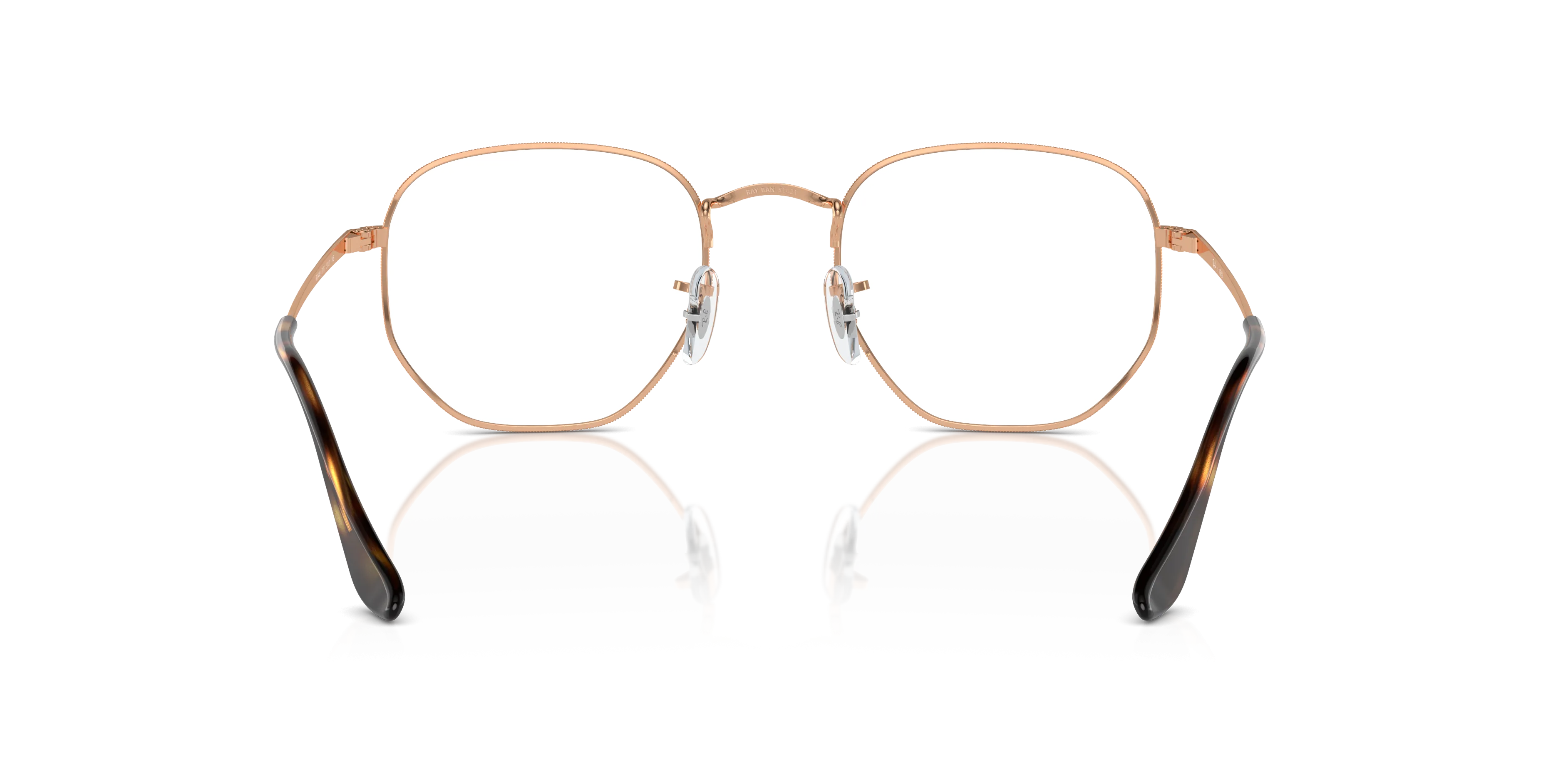 Ray-Ban Hexagonal RX6448 3176