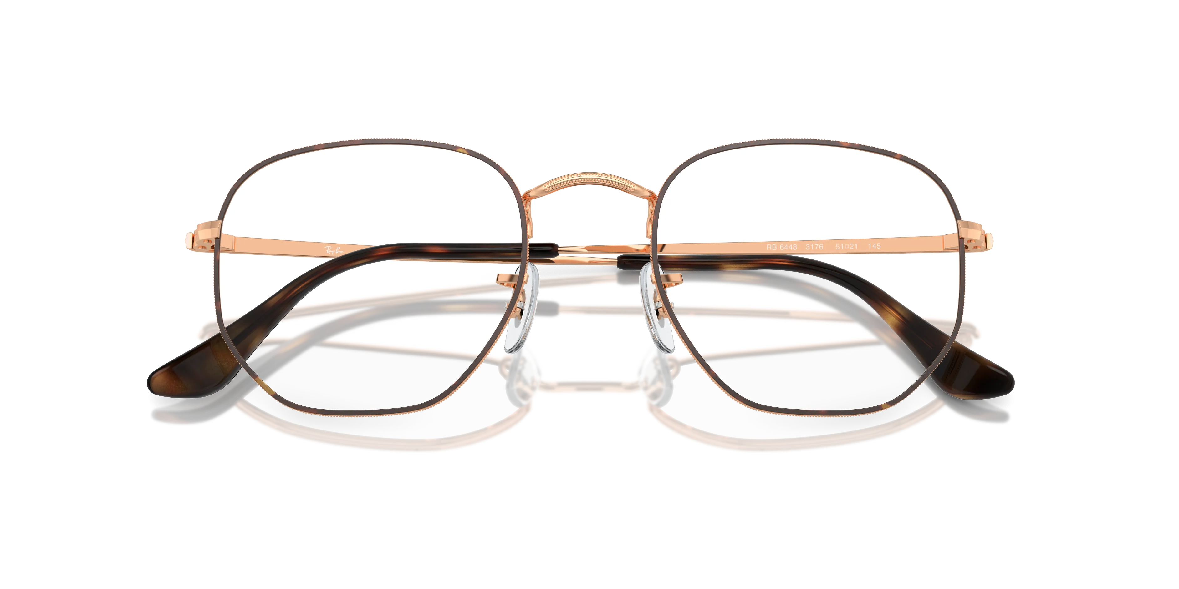 Ray-Ban Hexagonal RX6448 3176