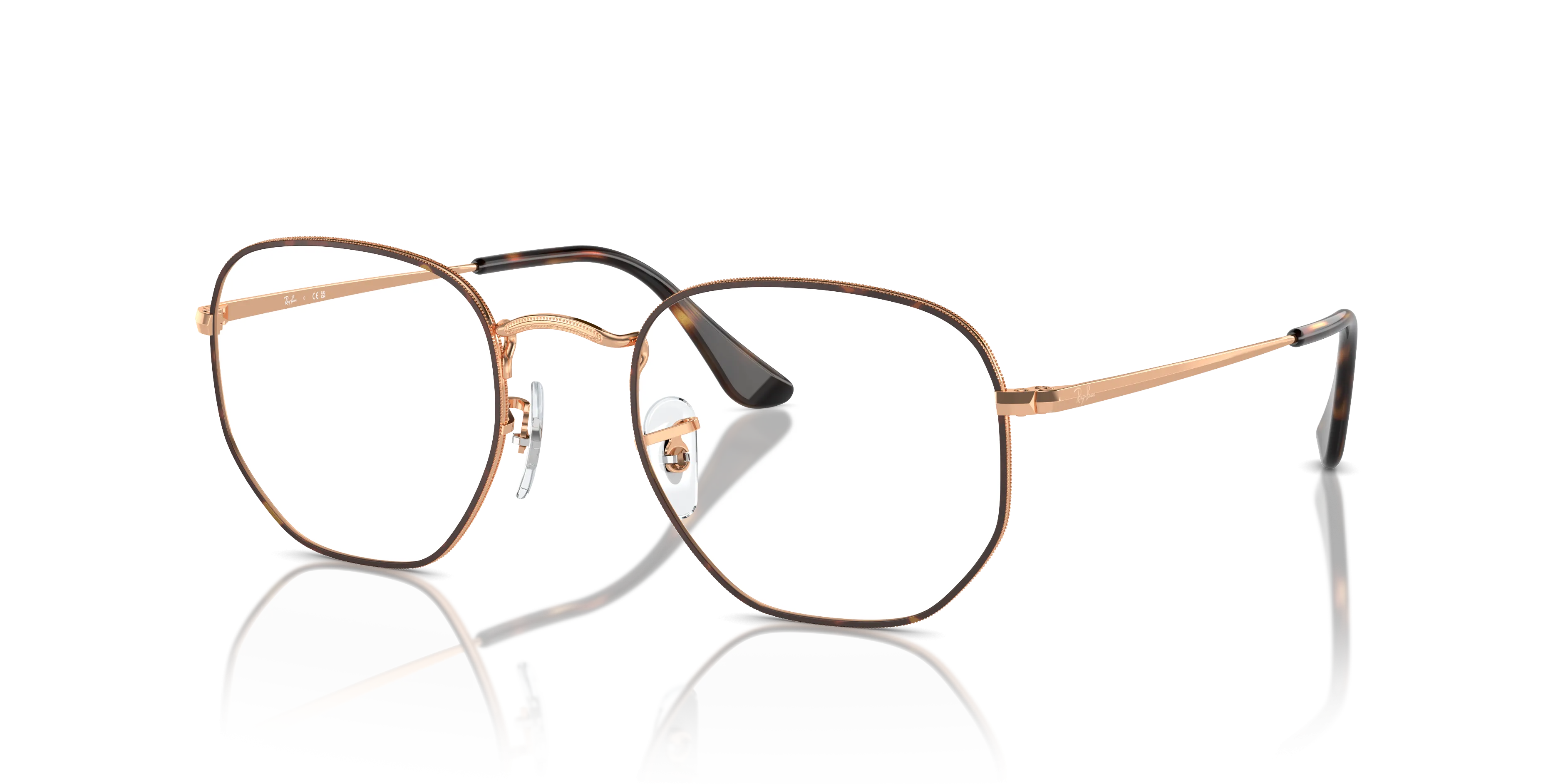 Ray-Ban Hexagonal RX6448 3176