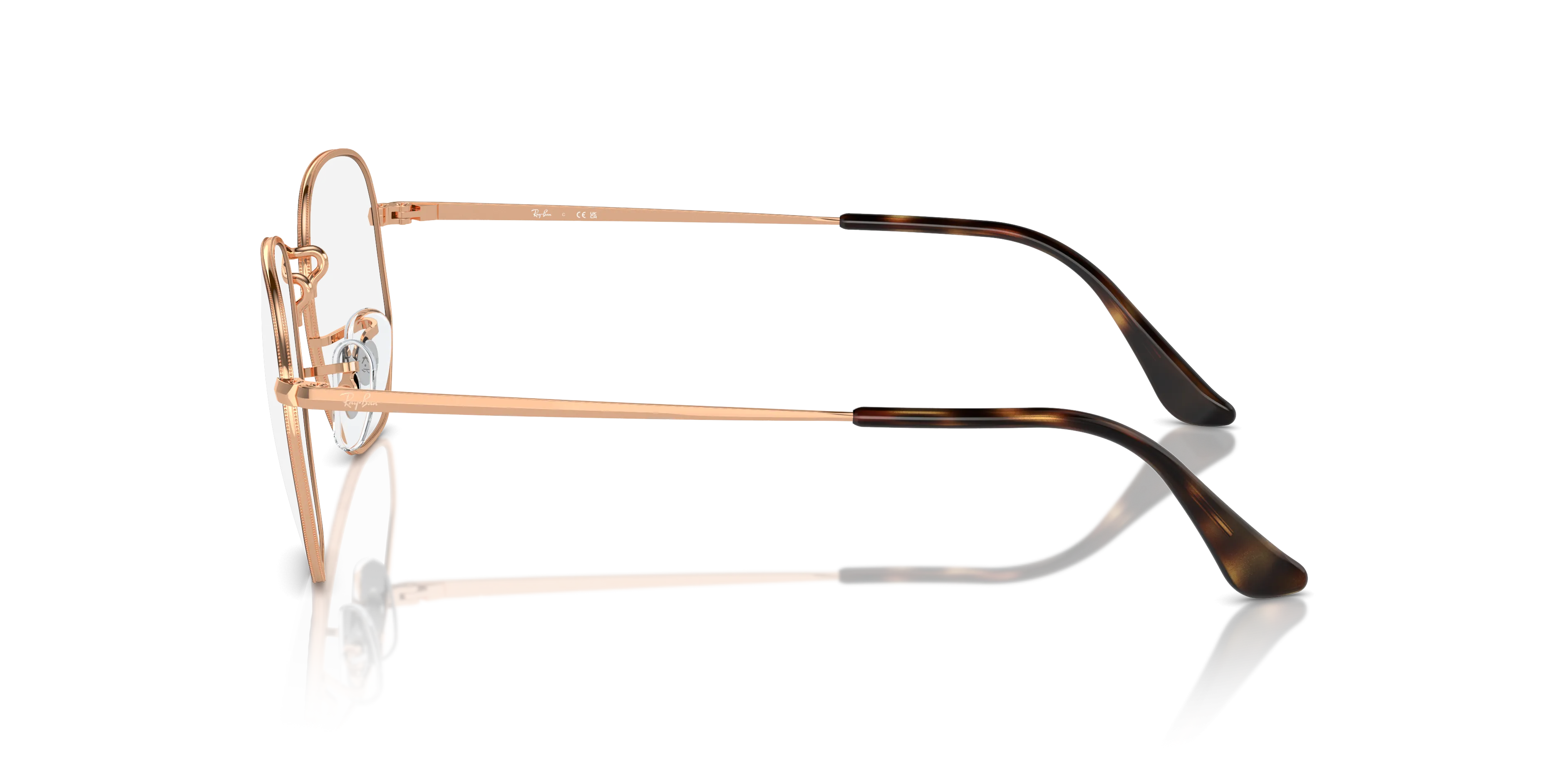 Ray-Ban Hexagonal RX6448 3176