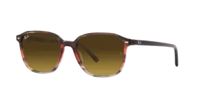 Ray-Ban Leonard RB2193 138085