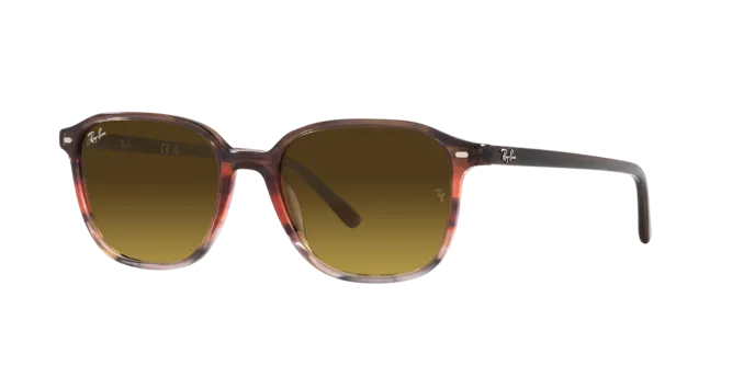 Ray-Ban Leonard RB2193 138085