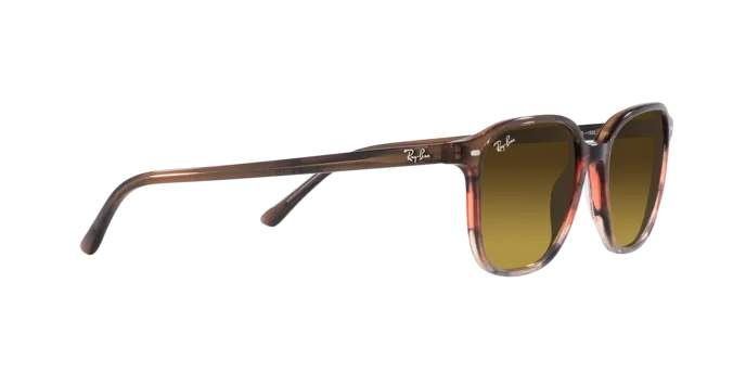 Ray-Ban Leonard RB2193 138085