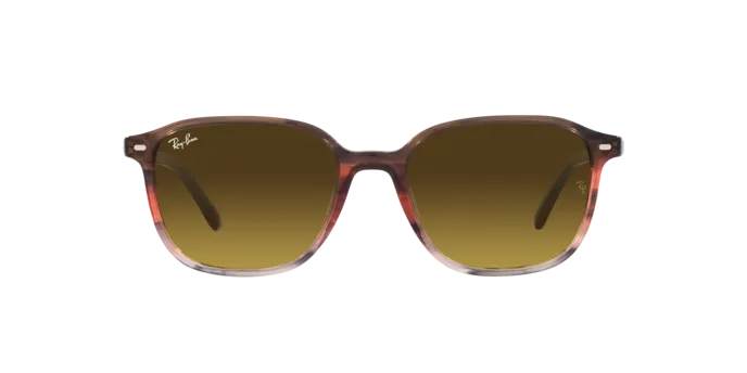 Ray-Ban Leonard RB2193 138085
