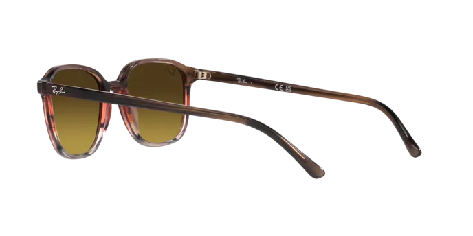 Ray-Ban Leonard RB2193 138085