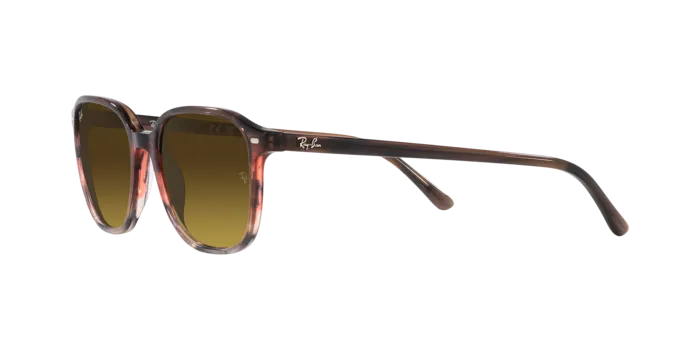 Ray-Ban Leonard RB2193 138085