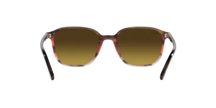 Ray-Ban Leonard RB2193 138085