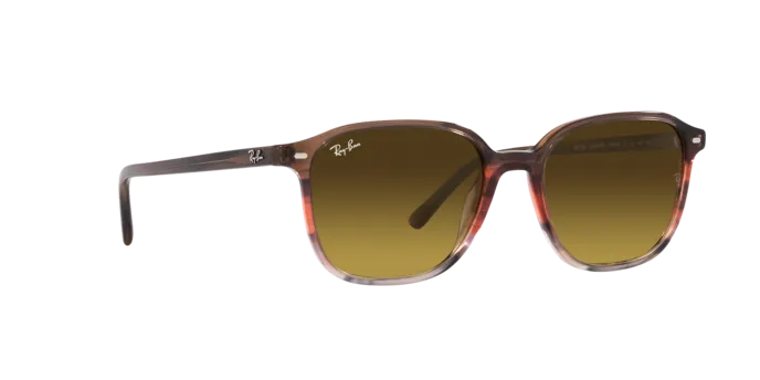 Ray-Ban Leonard RB2193 138085
