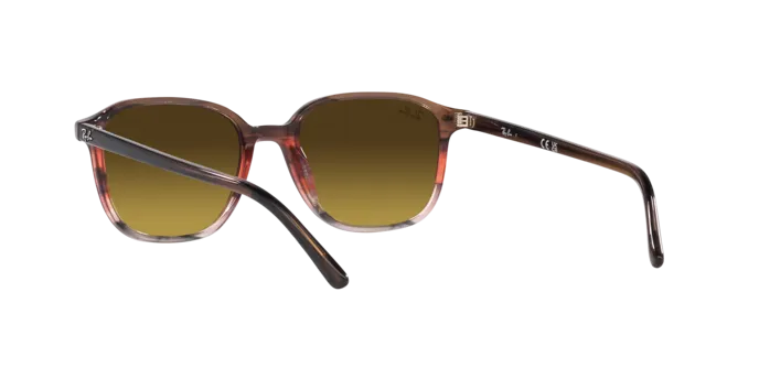 Ray-Ban Leonard RB2193 138085