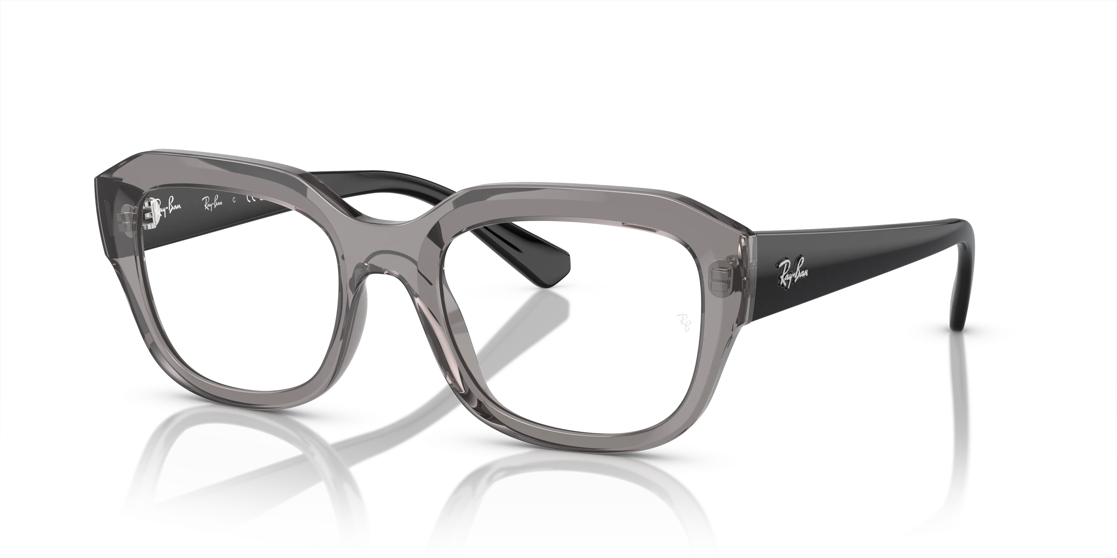 Ray-Ban Leonid RX7225 8316