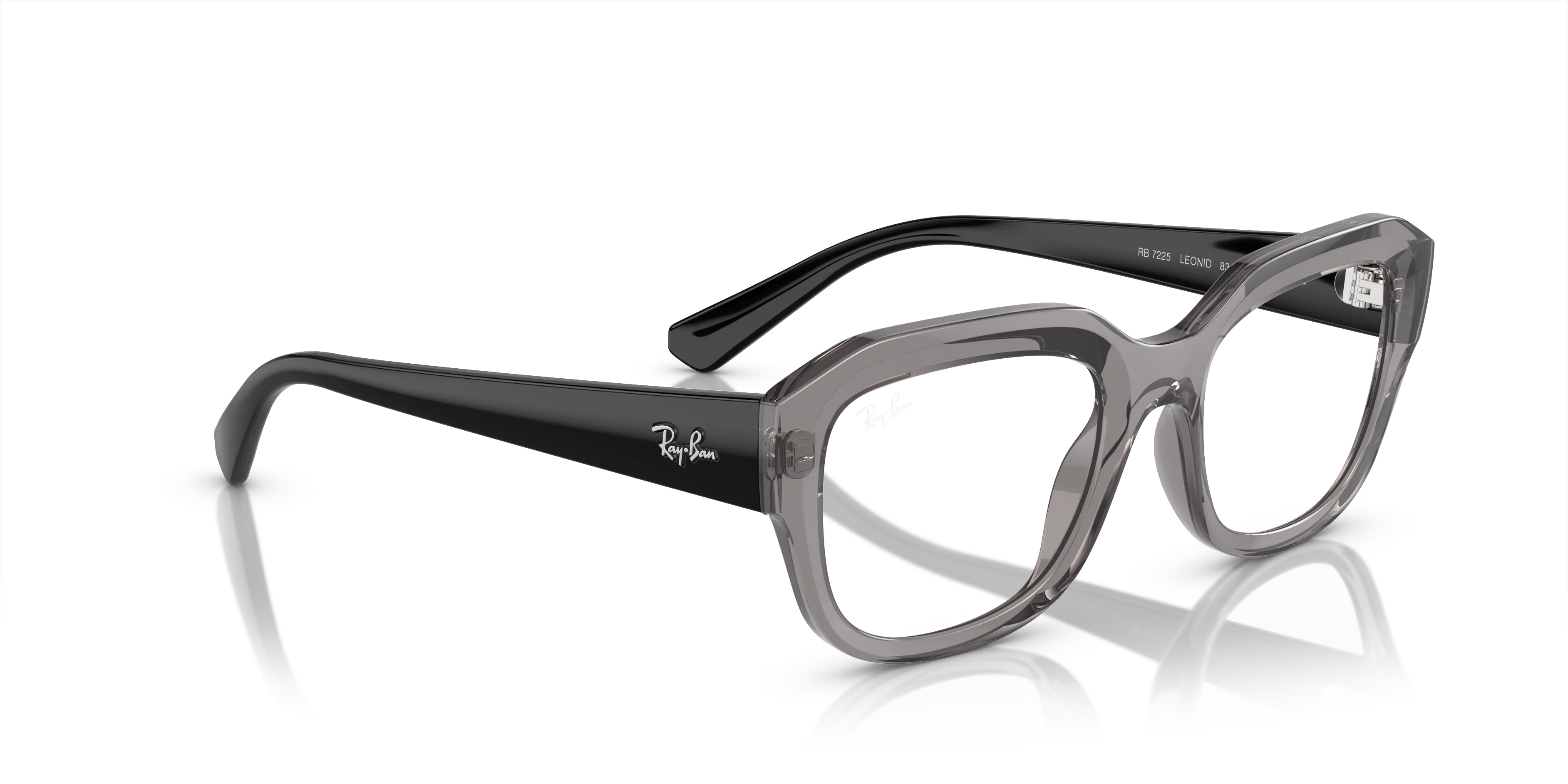 Ray-Ban Leonid RX7225 8316